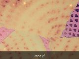 كسرة رخسيس تذوب في الفم