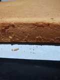 Bizcochuelo clásico de torta de cumpleaños