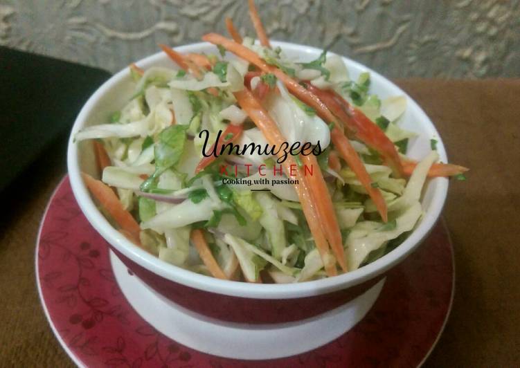 Easy Way to Prepare Yummy Coleslaw