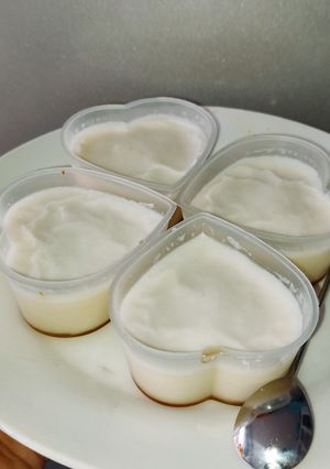 Hình của món Pudding sữa đậu nành cốt dừa.