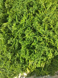 عکسی از دستور ترکیب انواع سبزی