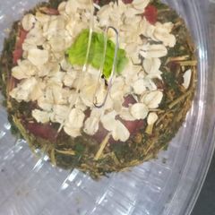 A picture of Parsley cake !!.