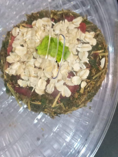 A picture of Parsley cake !!.