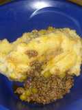 A1 Shepherds pie