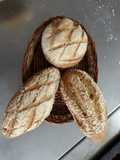 Whole wheat grain bread