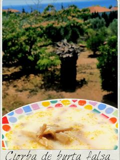 O poză a rețetei Ciorbă de burtă falsă din ciuperci Pleurotus.