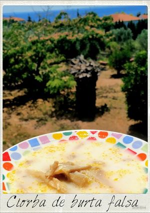O poză a rețetei Ciorbă de burtă falsă din ciuperci Pleurotus.