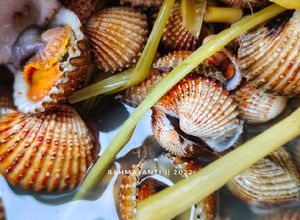 Foto resep Tuday Rebus / Kerang Dara Rebus Sereh