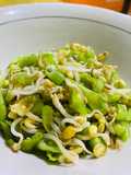 540. Tumis Buncis Taoge