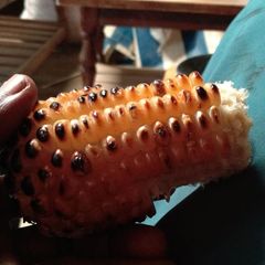 A picture of Roasted maize.