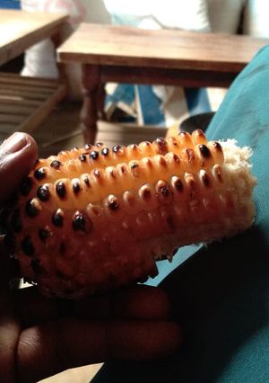 A picture of Roasted maize.