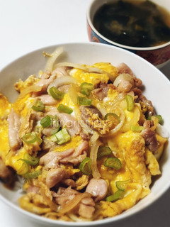 Foto resep 445. Oyakodon | Chicken and Egg Rice Bowl