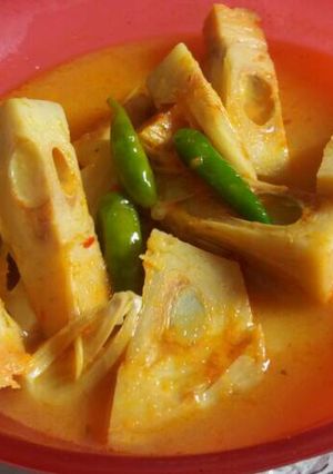 Foto resep Sayur nangka joss.