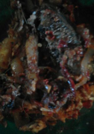 Foto resep Sambal ikan sarden