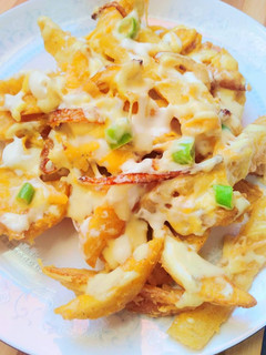 A picture of Chillie cheese fries.