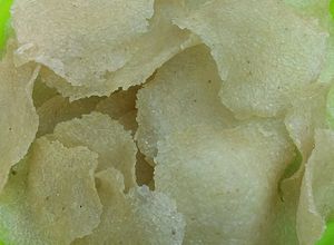 Foto resep Kerupuk Nasi/Karak Gendar