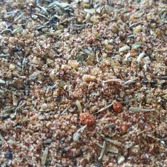 A picture of Mexican Dry Rub.