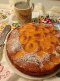 Torta di albicocche e mascarpone