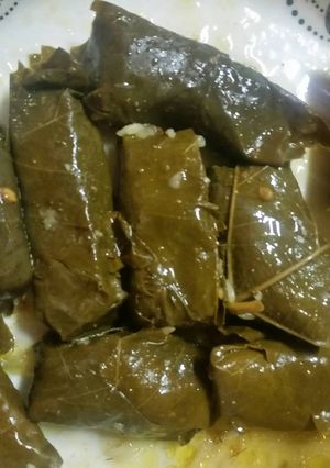 صورة لوصفة ورق عنب سهل جداً جداً 💚
