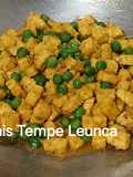 Tumis Tempe Lenca
