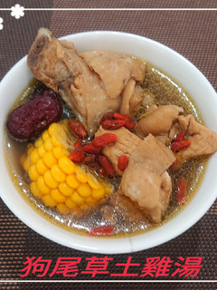 狗尾草土雞湯(簡單料理) 的食譜成品照片