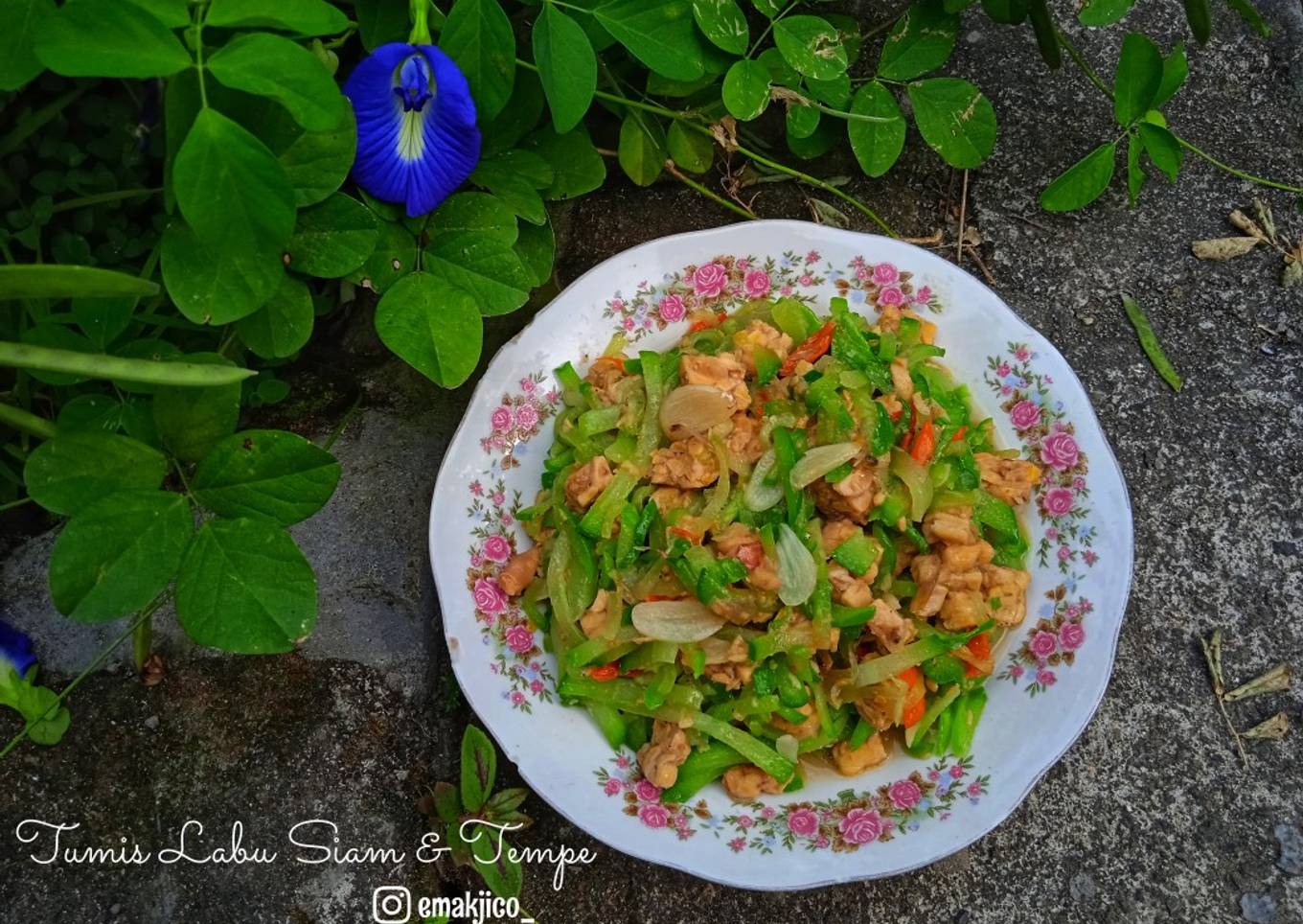 Tumis Labu Siam & Tempe
