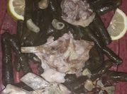 A picture of lamb bones