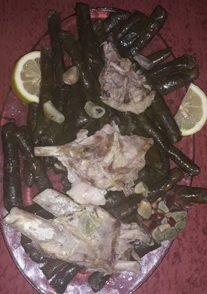 A picture of Yabraq with Lamb.