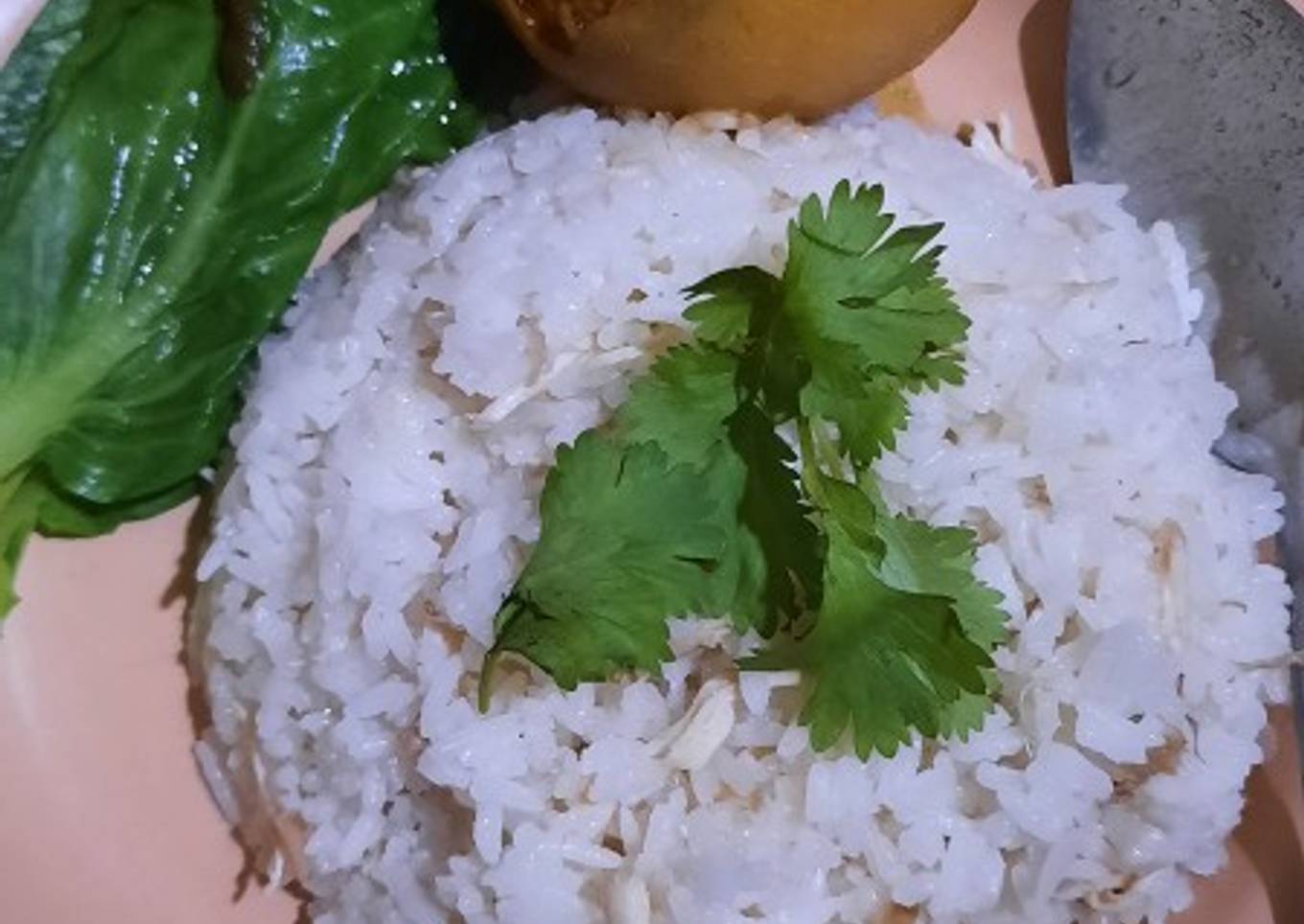 Nasi hainam simpel