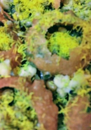 A picture of Panipuri.