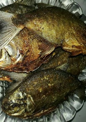 Foto resep Ikan bawal goreng simple