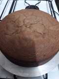 Bizcochuelo de chocolate