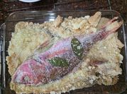 Una foto de pescado pargo