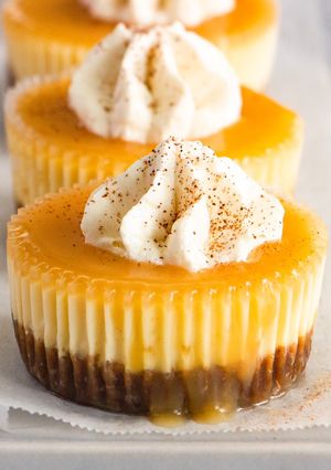 A picture of Mini Cheesecake with Biscoff Base.