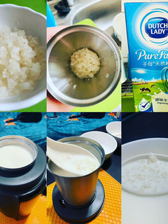 冰糖牛奶燉燕窩 的食譜成品照片