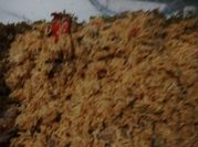 Gambar serundeng daging sapi 1kg