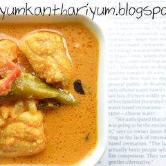 A picture of Kozhikode thenga aracha meen curry.