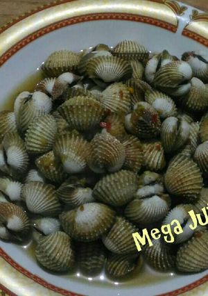 Foto resep Kerang Dara
