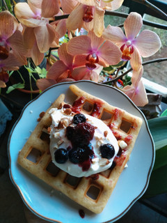Una foto de 🥞Waffles saludables sin tacc 🥞