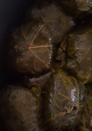 عکسی از دستور دلمه برگ مو (انگور)
