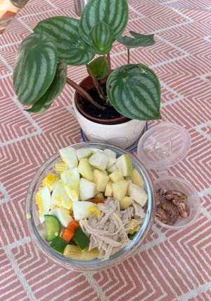 彩蔬雞絲元氣沙拉 的食譜成品照片