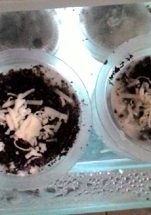 Foto resep Mini Oreo Cheesecake Lumer Murmer