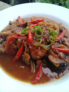 Foto resep Ikan patin masak kecap