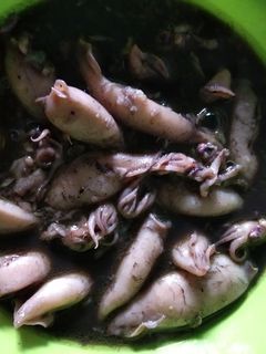 Foto resep Cumi cumi tinta hitam