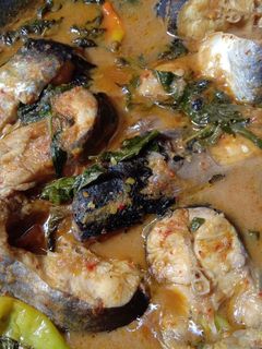 Foto resep Ikan patin asam pedas daun kemangi