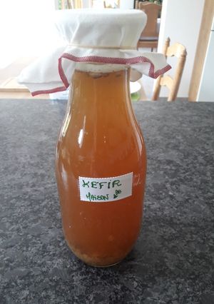 Une photo de Kéfir de fruits