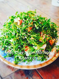 Hình của món Rau đắng trộn chay.