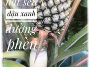 Hình ảnh của sữa hạt sen