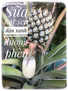 Hình của món Sữa hạt sen đậu xanh.
