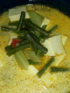 Foto resep Sayur Lodeh tahu kotak